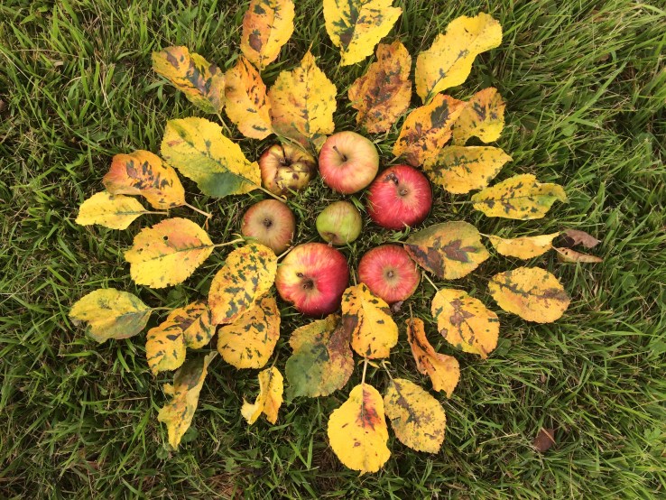 laboratori-creativi-per-bambini-idee